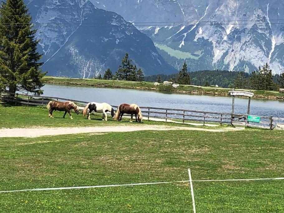Sonniges Apartment In Seefeld Ζέεφελντ Εξωτερικό φωτογραφία